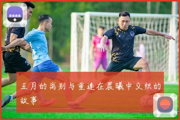 五月的离别与重逢在晨曦中交织的故事